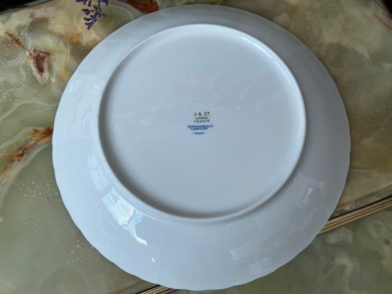 Plat rond creux Porcelaine de Limoges Bernardaud modèle Verdi