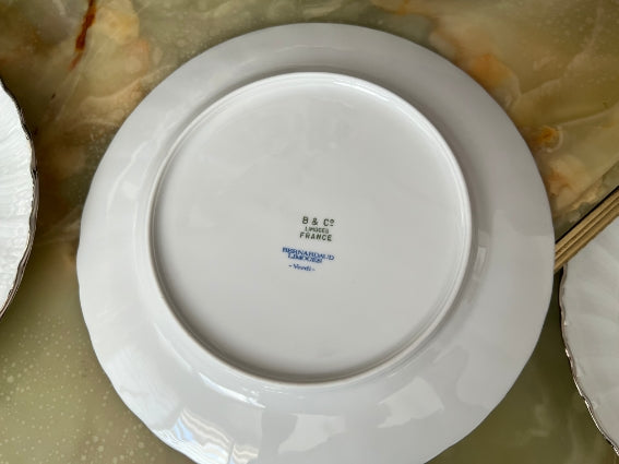 Lot de 6 assiettes à dessert Porcelaine de Limoges Bernardaud modèle Verdi