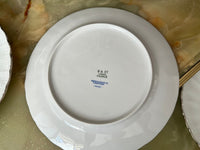 Lot de 6 assiettes à dessert Porcelaine de Limoges Bernardaud modèle Verdi