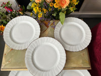 Lot de 6 assiettes blanc et argent 24,5 cm Porcelaine de Limoges Bernardaud modèle Verdi