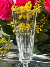 Lot de 2 flûtes à champagne Cristal Saint-Louis modèle Caton signées très bon état