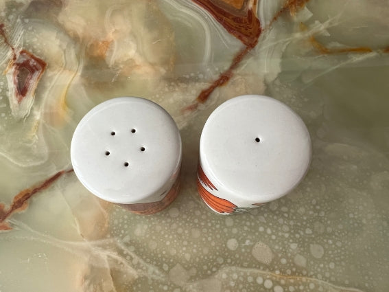 Salière et poivrière Acapulco Villeroy et Boch très bon état