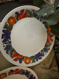 Lot de 3 Assiettes Acapulco Villeroy et Boch 24 cm très bon état