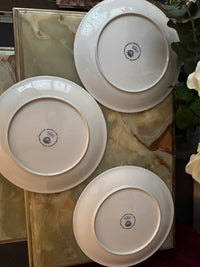 Lot de 3 Assiettes Acapulco Villeroy et Boch 24 cm très bon état