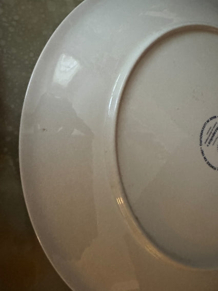 Lot de 3 Assiettes Acapulco Villeroy et Boch 24 cm très bon état