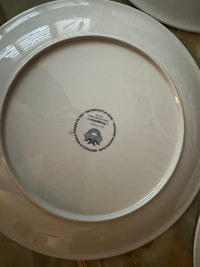 Lot de 3 Assiettes Acapulco Villeroy et Boch 24 cm très bon état