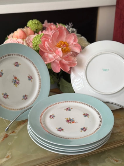 Lot de 6 assiettes 24 cm Porcelaine de Limoges Georges Boyer