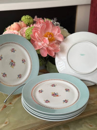 Lot de 6 assiettes 24 cm Porcelaine de Limoges Georges Boyer