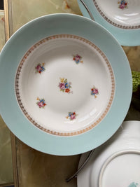 Lot de 6 assiettes creuses 24 cm Porcelaine de Limoges Georges Boyer