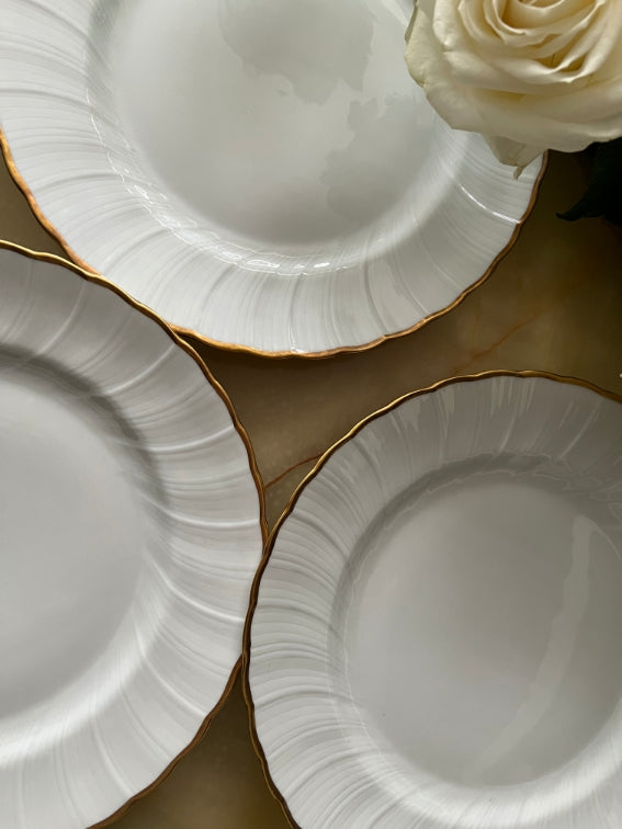 Lot 6 assiettes plates 24 cm Porcelaine de Limoges Bernardaud modèle Verlaine