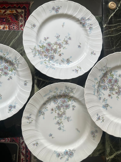Lot de 6 assiettes plates 24,5cm Porcelaine de Limoges Bernardaud mod. Gabrielle