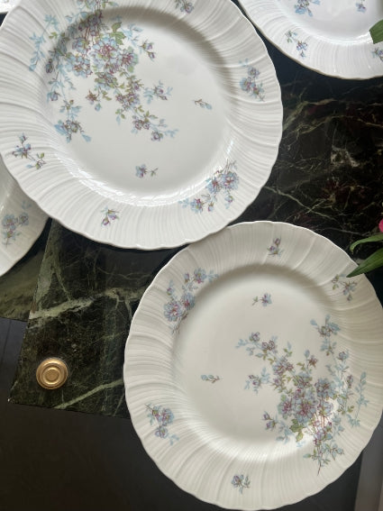Lot de 6 assiettes plates 24,5cm Porcelaine de Limoges Bernardaud mod. Gabrielle