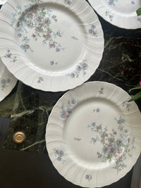 Lot de 6 assiettes plates 24,5cm Porcelaine de Limoges Bernardaud mod. Gabrielle
