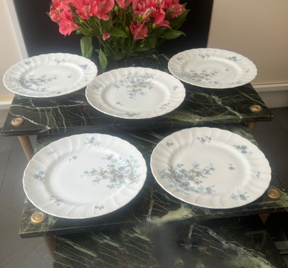 Lot de 5 assiettes plates 22 cm Porcelaine de Limoges Bernardaud mod. Gabrielle