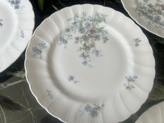Lot de 5 assiettes plates 22 cm Porcelaine de Limoges Bernardaud mod. Gabrielle