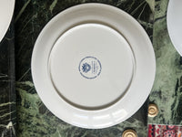 Lot de 6 assiettes Acapulco Villeroy et Boch 20 cm très bon état