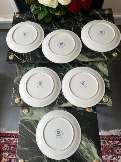 Lot de 6 assiettes Acapulco Villeroy et Boch 20 cm décor plein très bon état