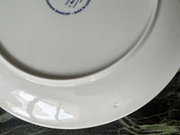 Lot de 6 assiettes Acapulco Villeroy et Boch 20 cm décor plein très bon état