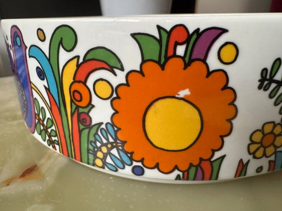 Plat rond /saladier Acapulco Villeroy et Boch très bon état diamètre 20 cm