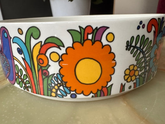 Plat rond /saladier Acapulco Villeroy et Boch très bon état diamètre 20 cm