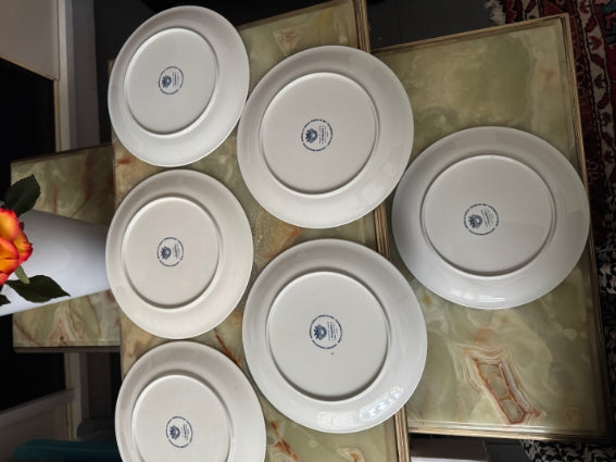 Lot de 6 assiettes Acapulco Villeroy et Boch 20 cm décor plein très bon état