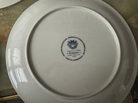 Lot de 6 assiettes Acapulco Villeroy et Boch 20 cm décor plein très bon état