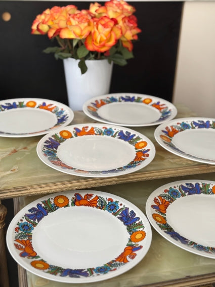 Lot de 6 assiettes Acapulco Villeroy et Boch 24 cm très bon état