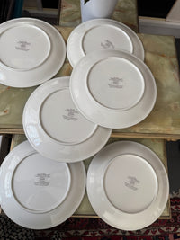Lot de 6 assiettes Acapulco Villeroy et Boch 24 cm très bon état