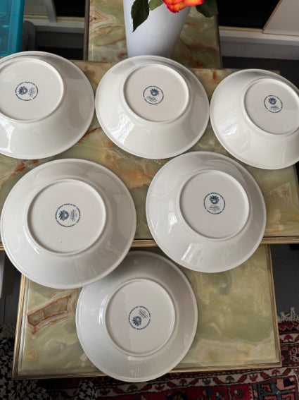 Lot de 6 assiettes creuses Acapulco Villeroy et Boch 21 cm très bon état